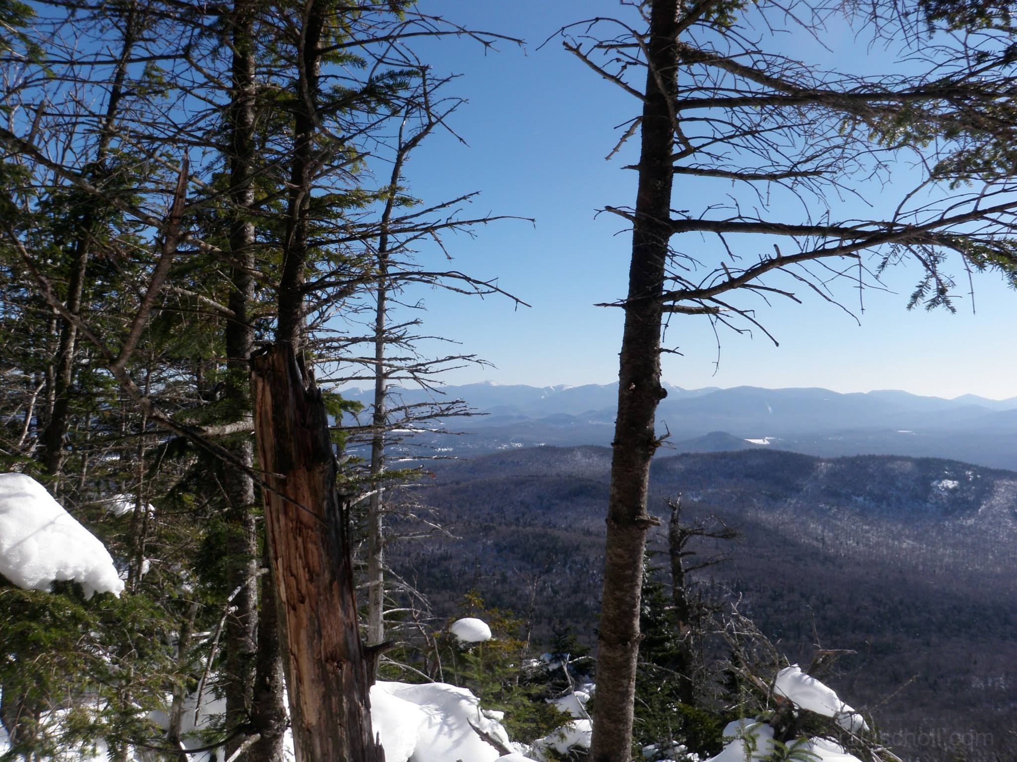 First views going up McKenzie.