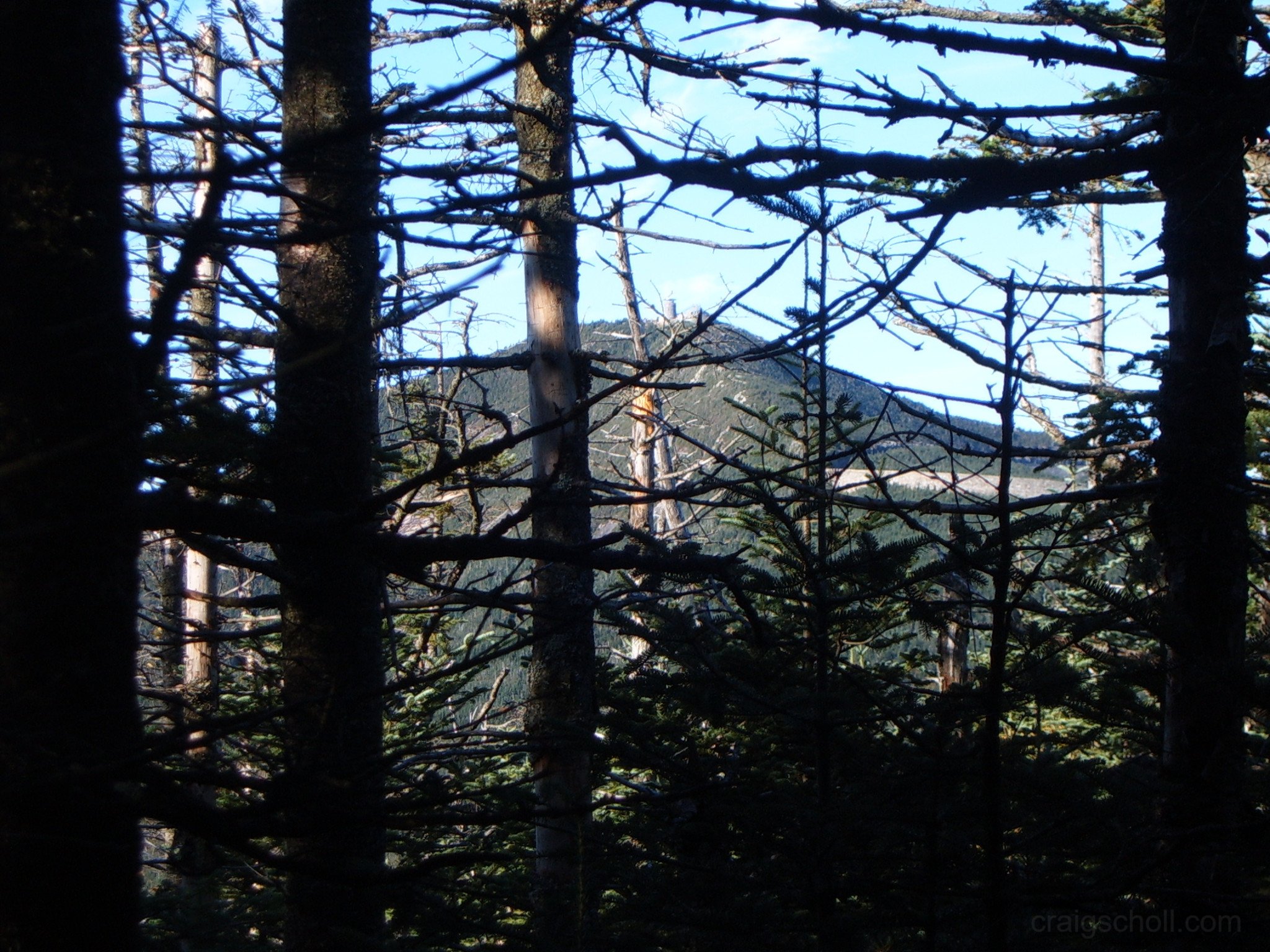 First_view_of_Whiteface_1__-_Copy