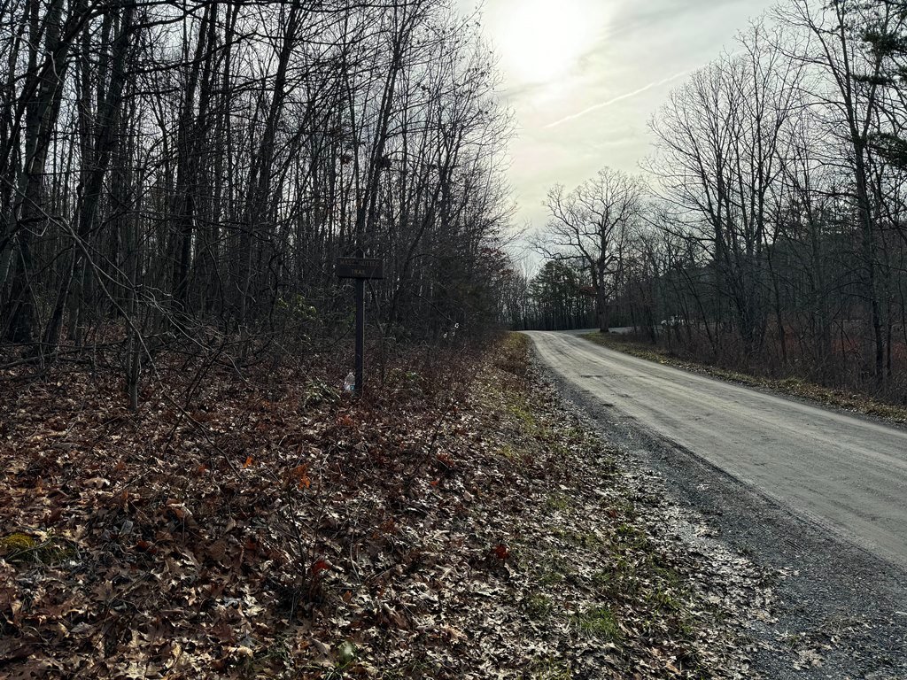 FR 374 Coming From Edinburg.jpg