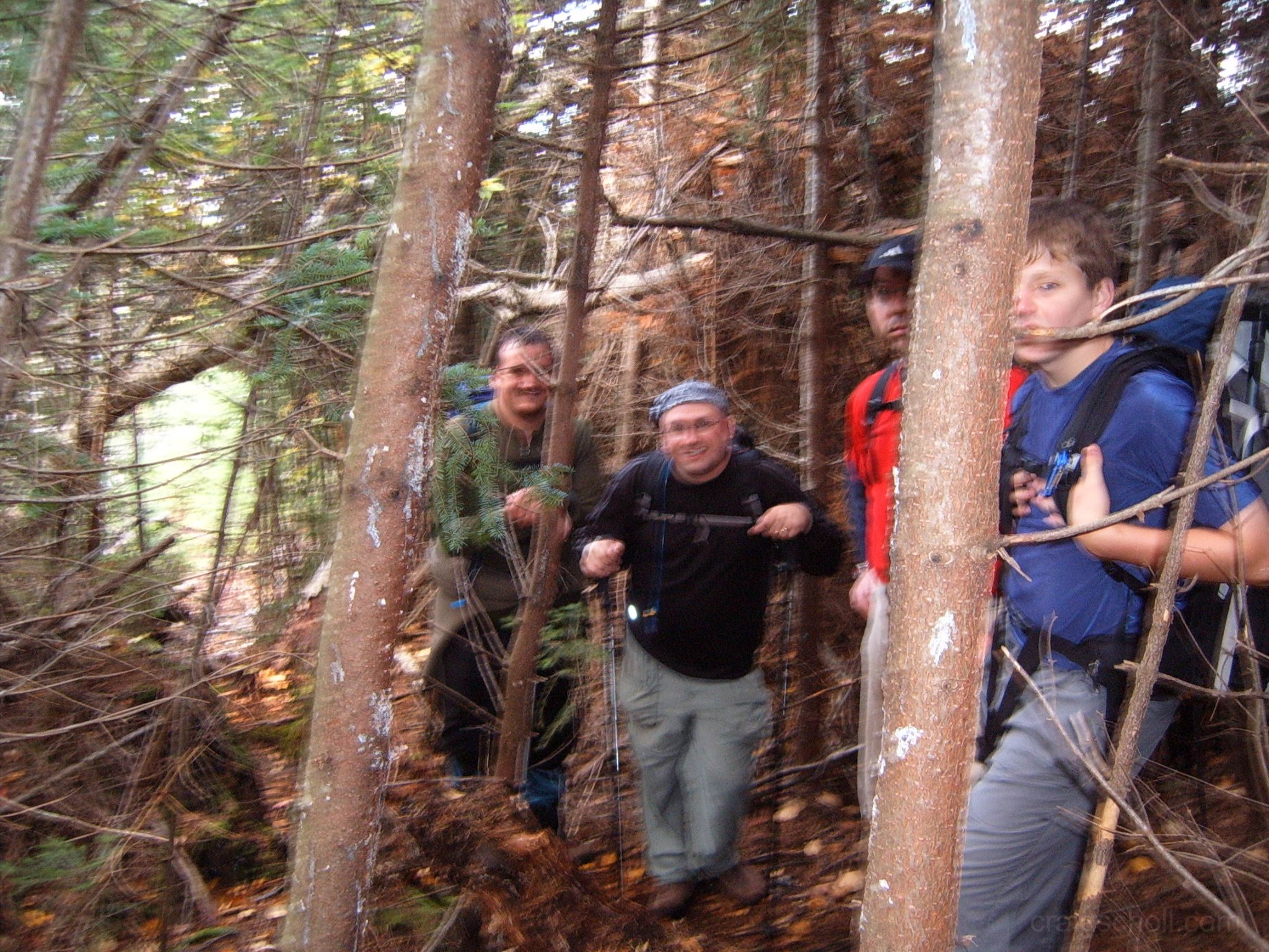 Herd_path_enroute_to_Macomb_slide