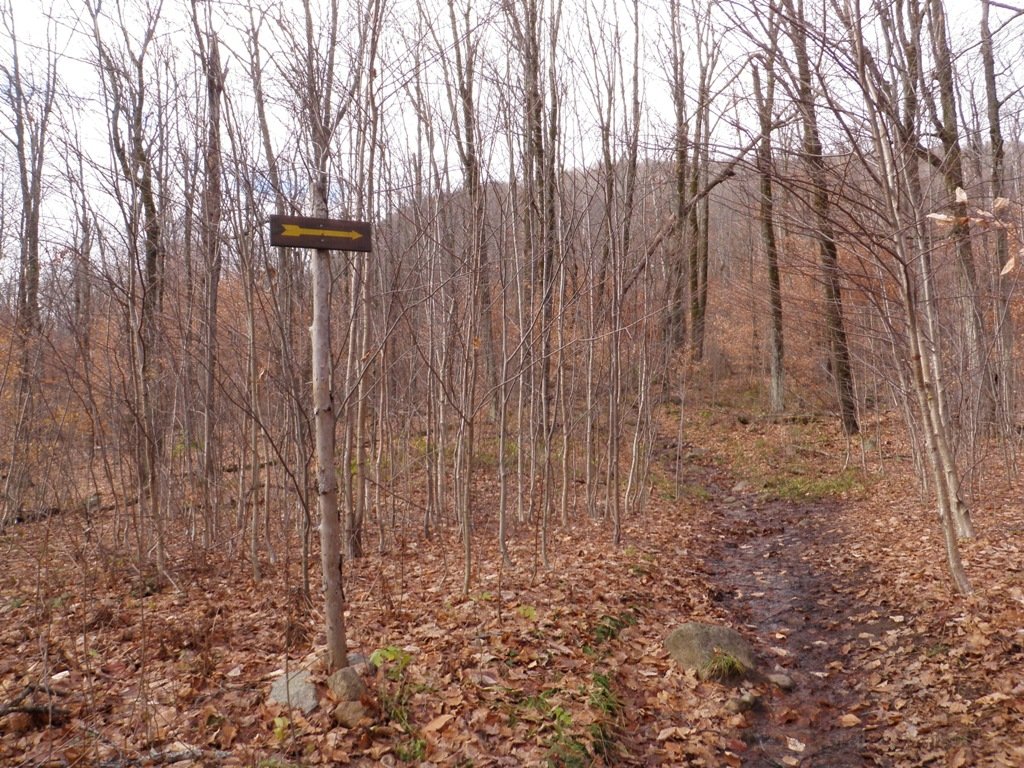 I guess we go that way