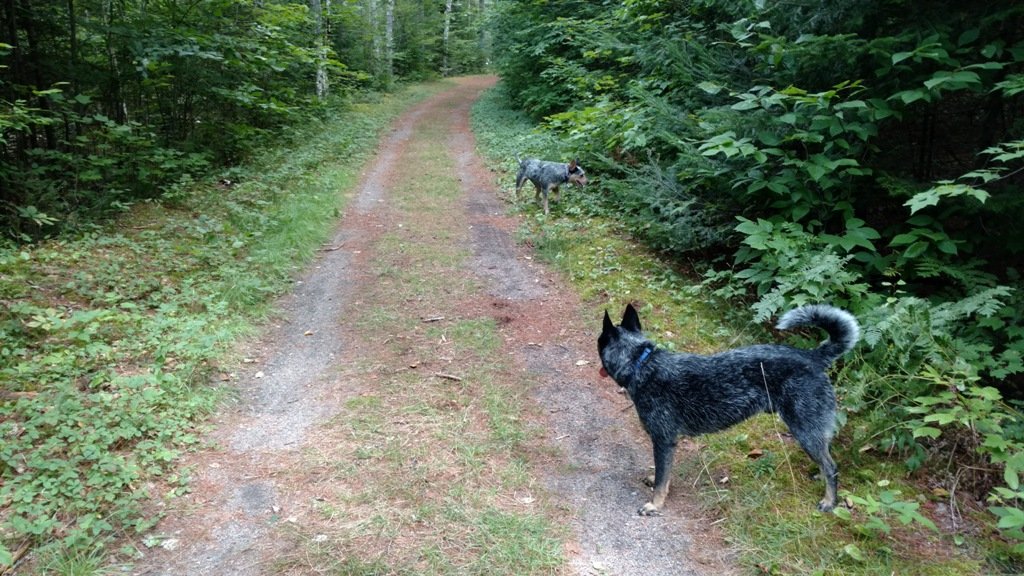 IMG_20160822_122713855