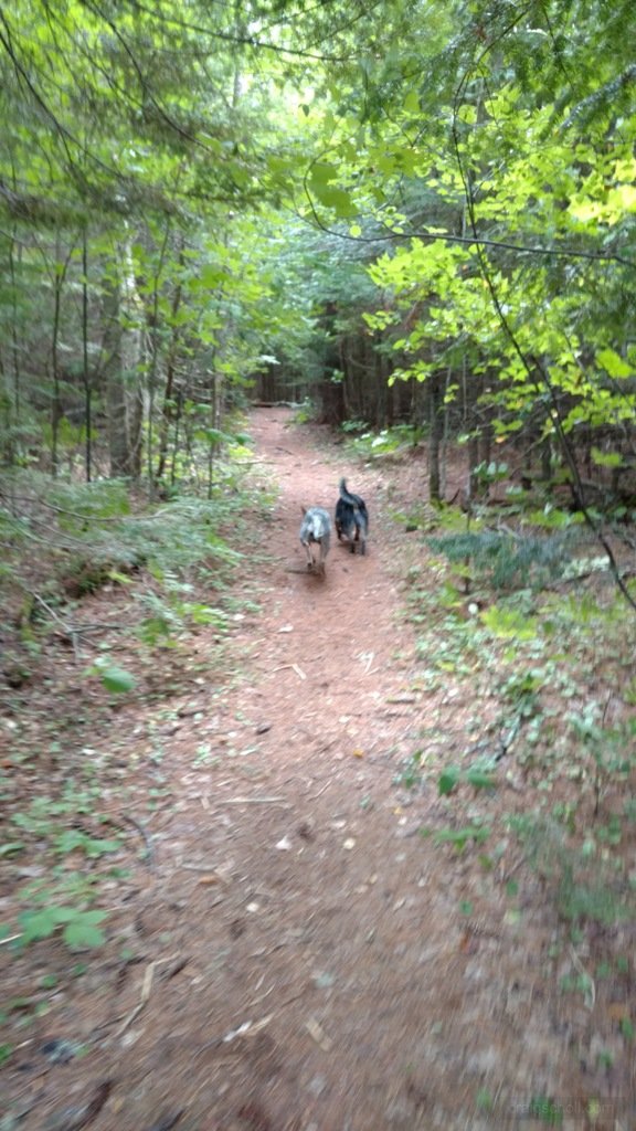 IMG_20160822_123202266