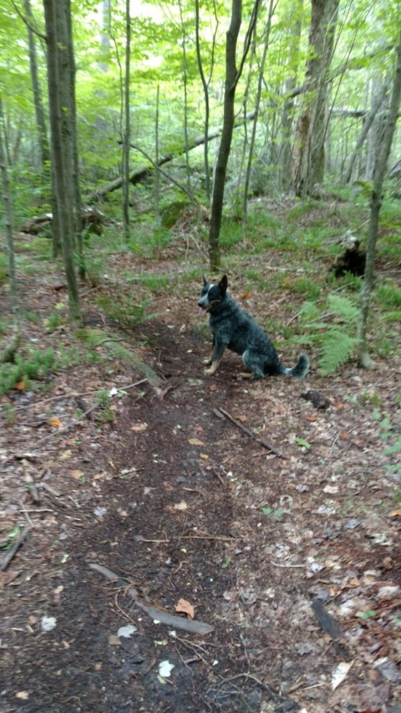 IMG_20160822_132340523