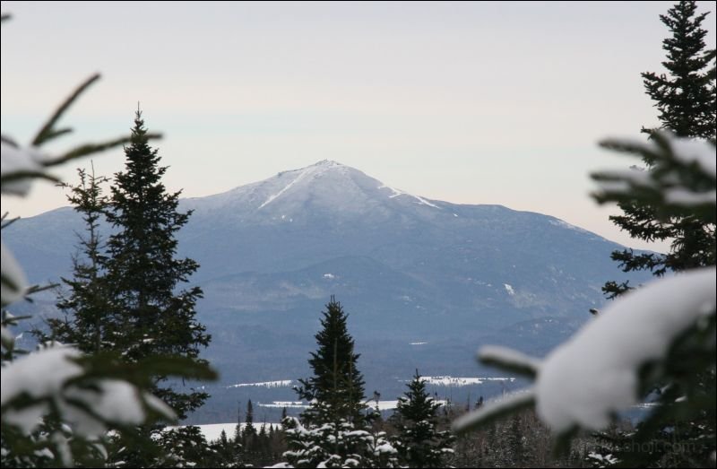 IMG_6198_Crp_regular