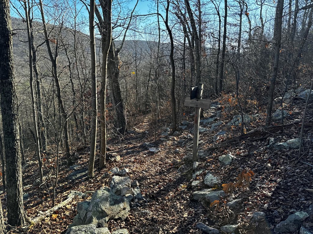 Junction with Peters Mill Run trail