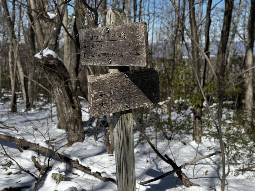 Junction with the Maneka Trail