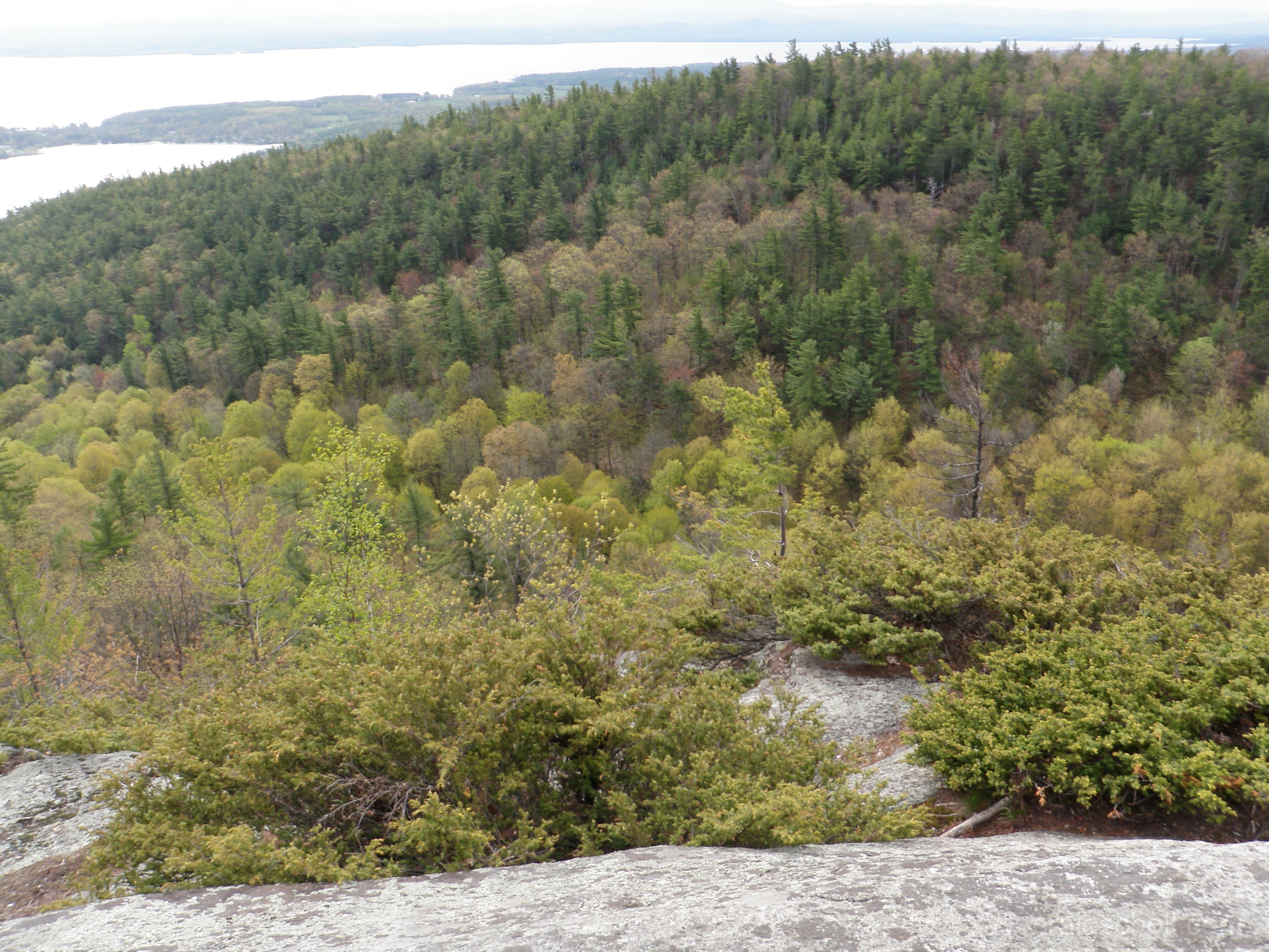 Lake Champlain with Willsboro point in the foreground.