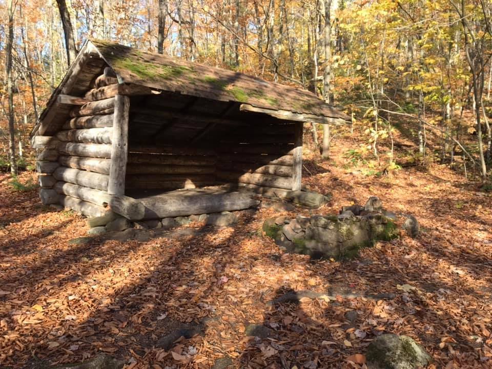 Lean-to in need of repair