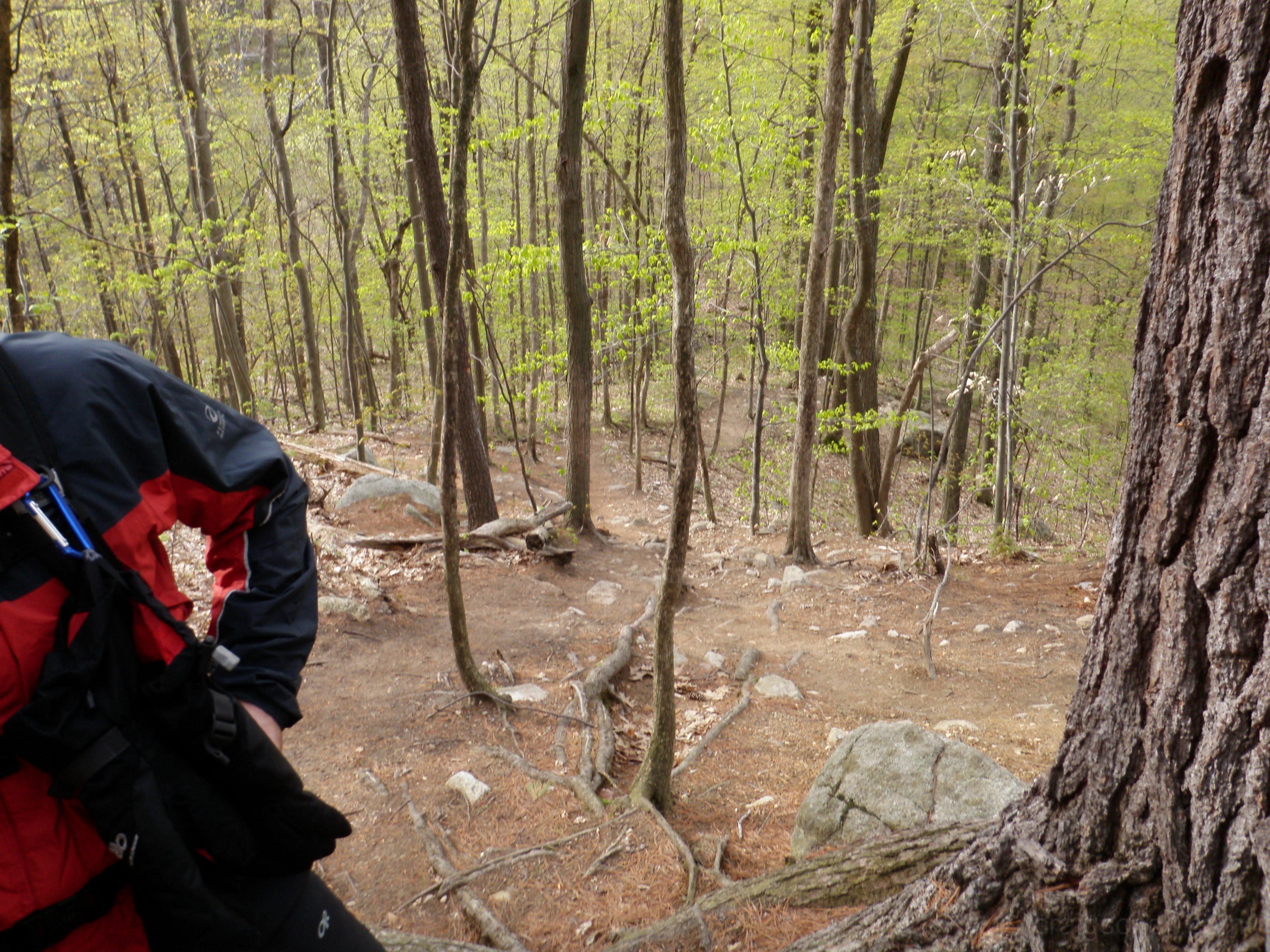 Looking back as we go up