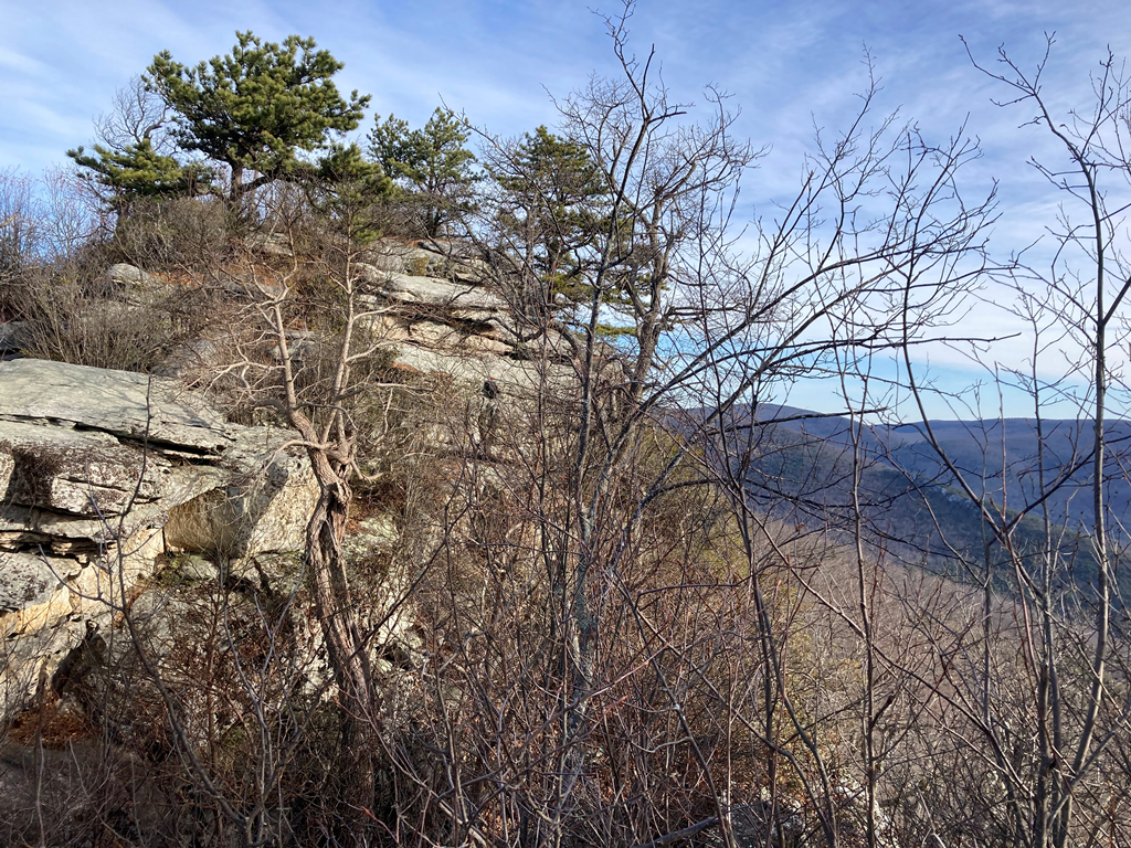 Looking back at Big Schloss