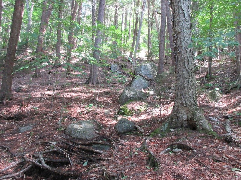 Looking up towards the summit