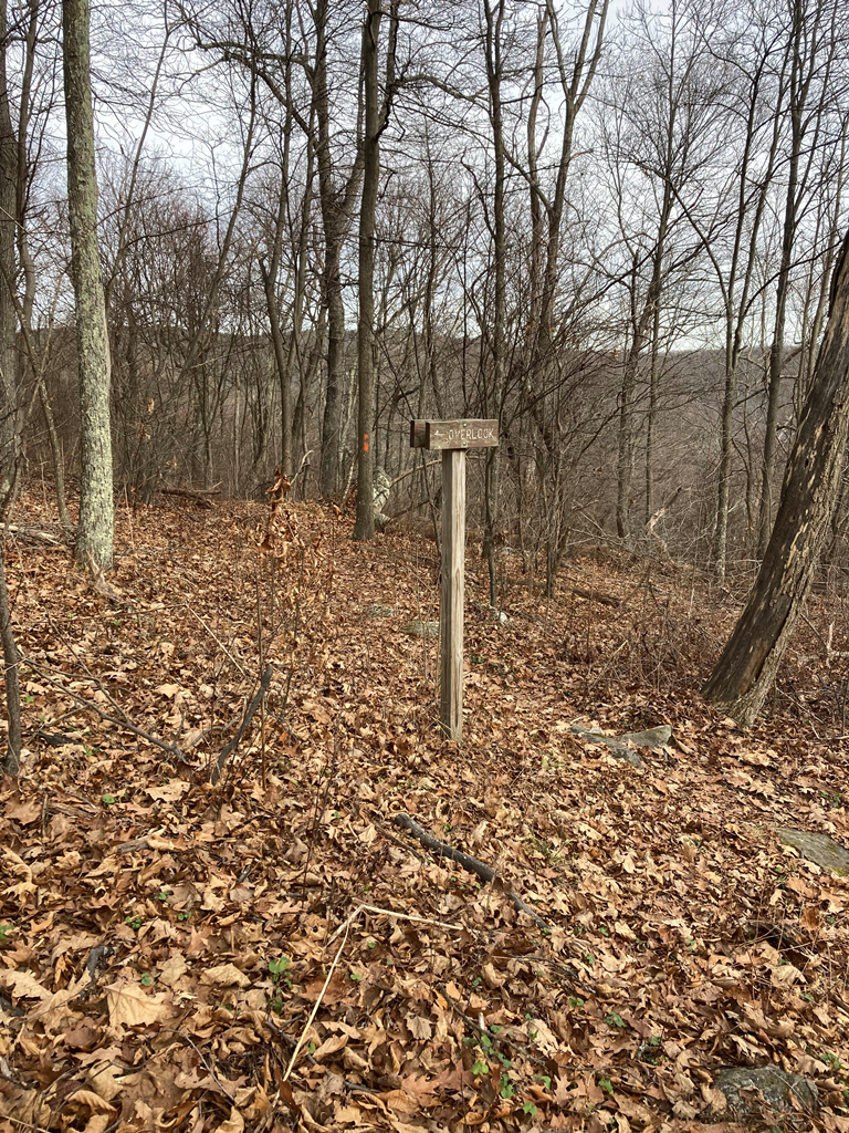 Lookout I just came from