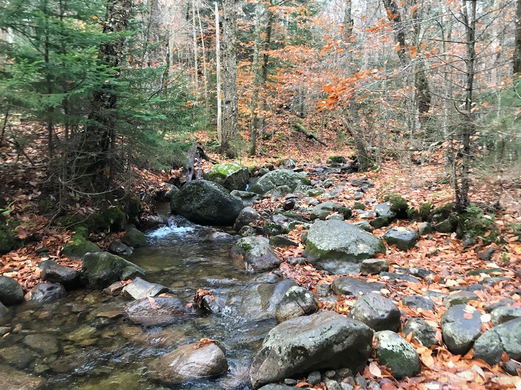 Lots of opportunities to filter