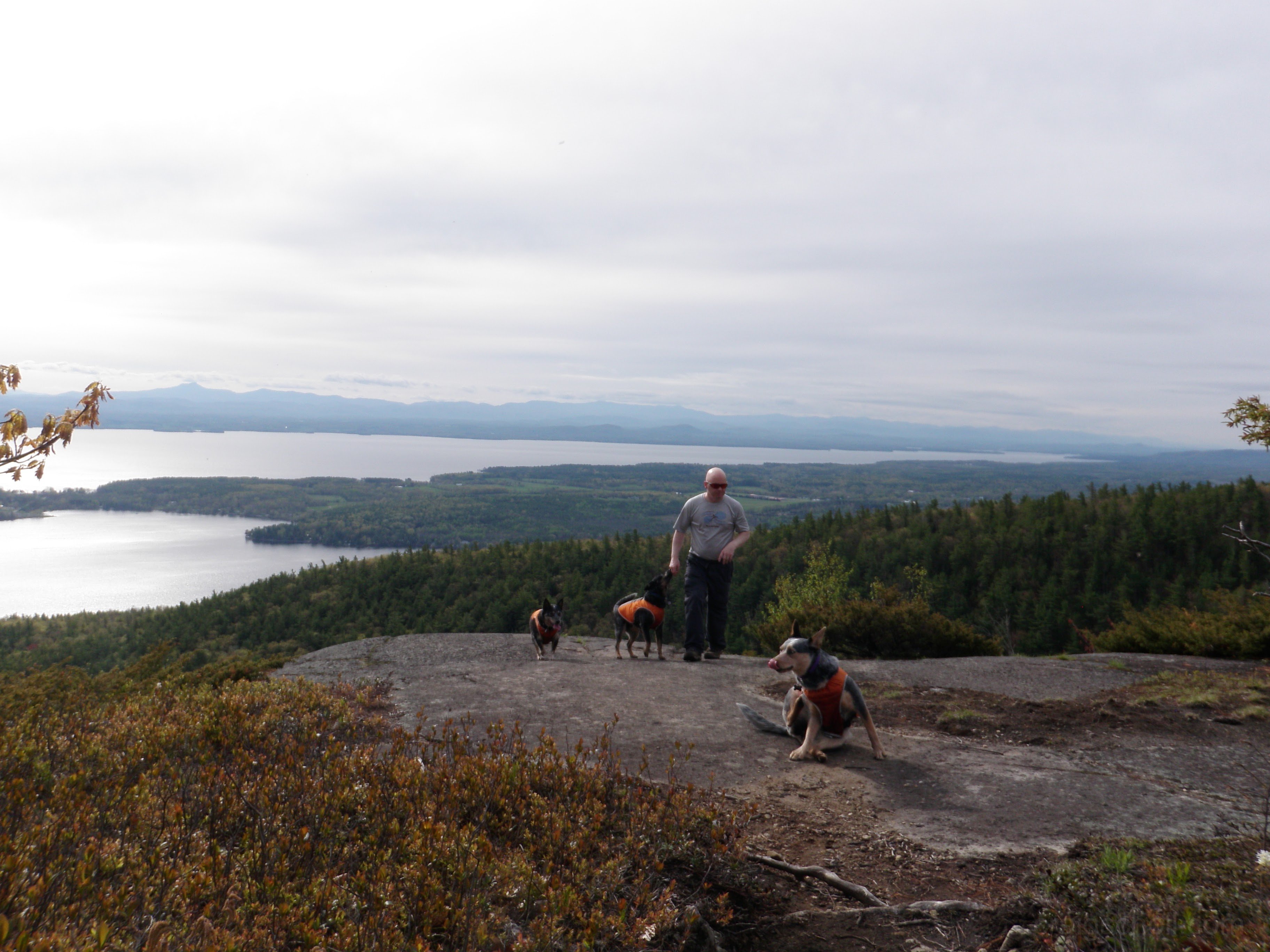 Me and the pups on Rattlesnake mountain