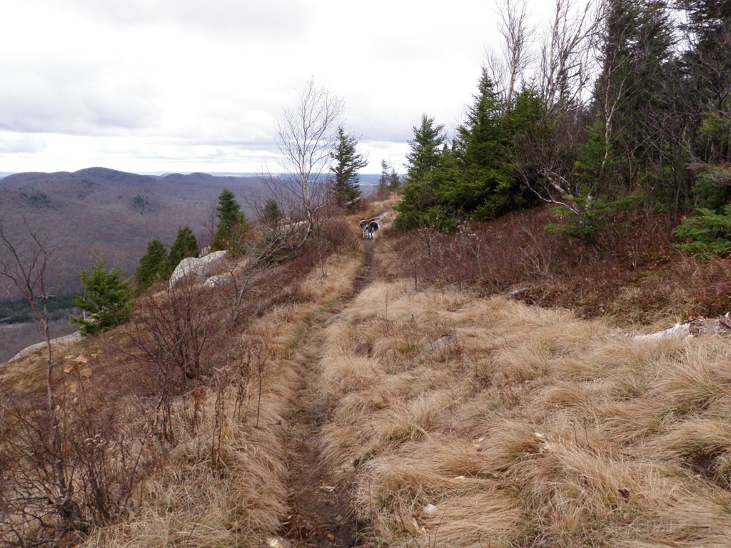 More of the same ridge