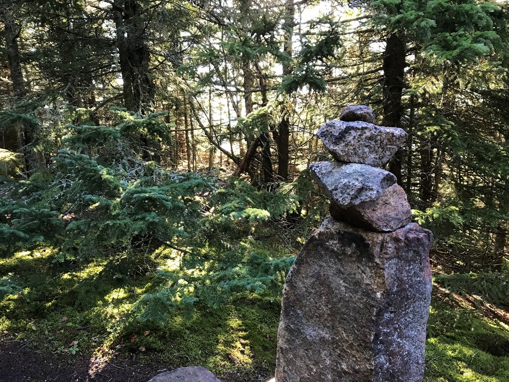 Morning sun coming through