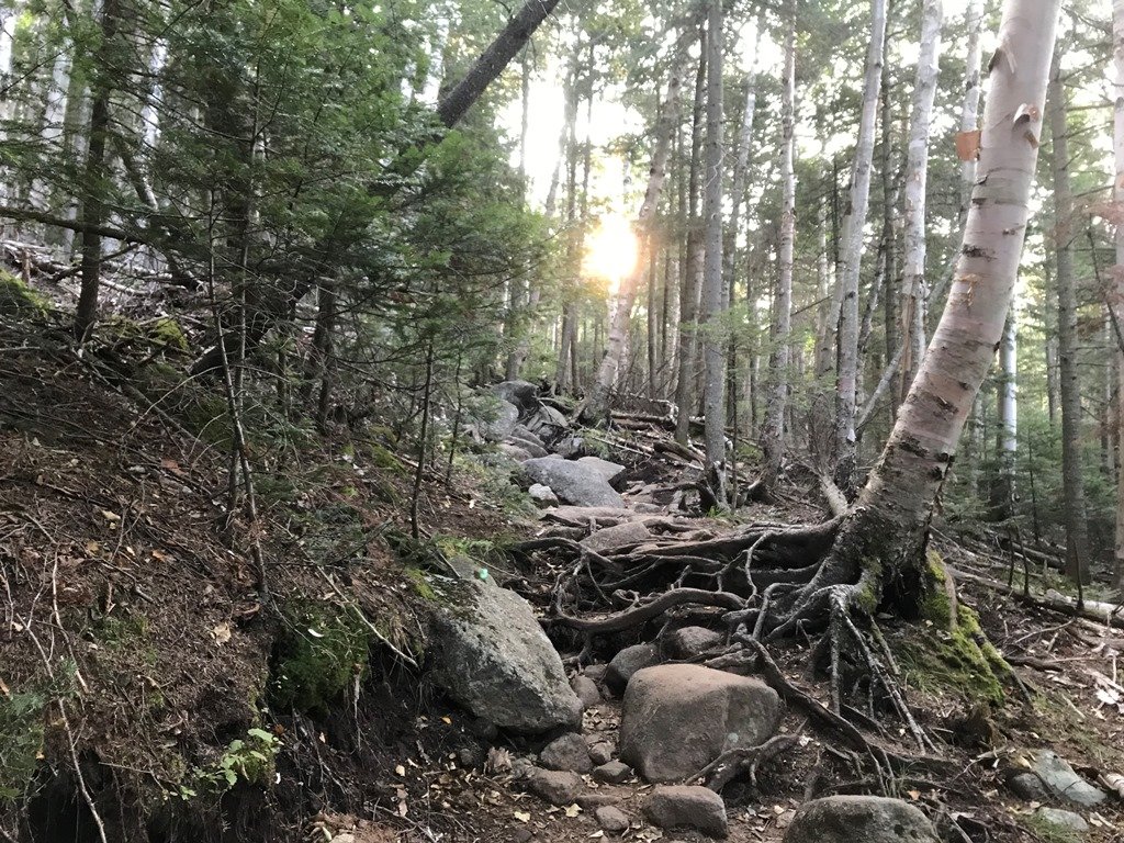 Morning sun coming through