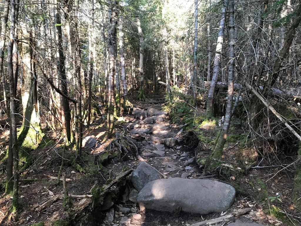 Most of the trail condition
