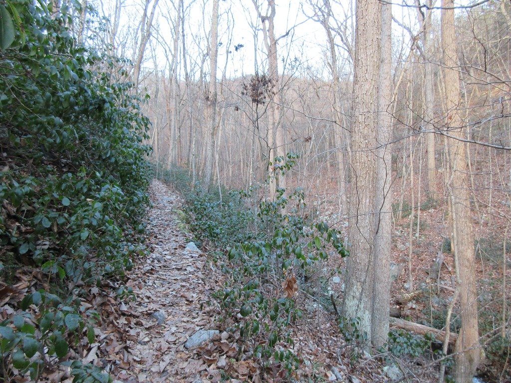 Near start of trail