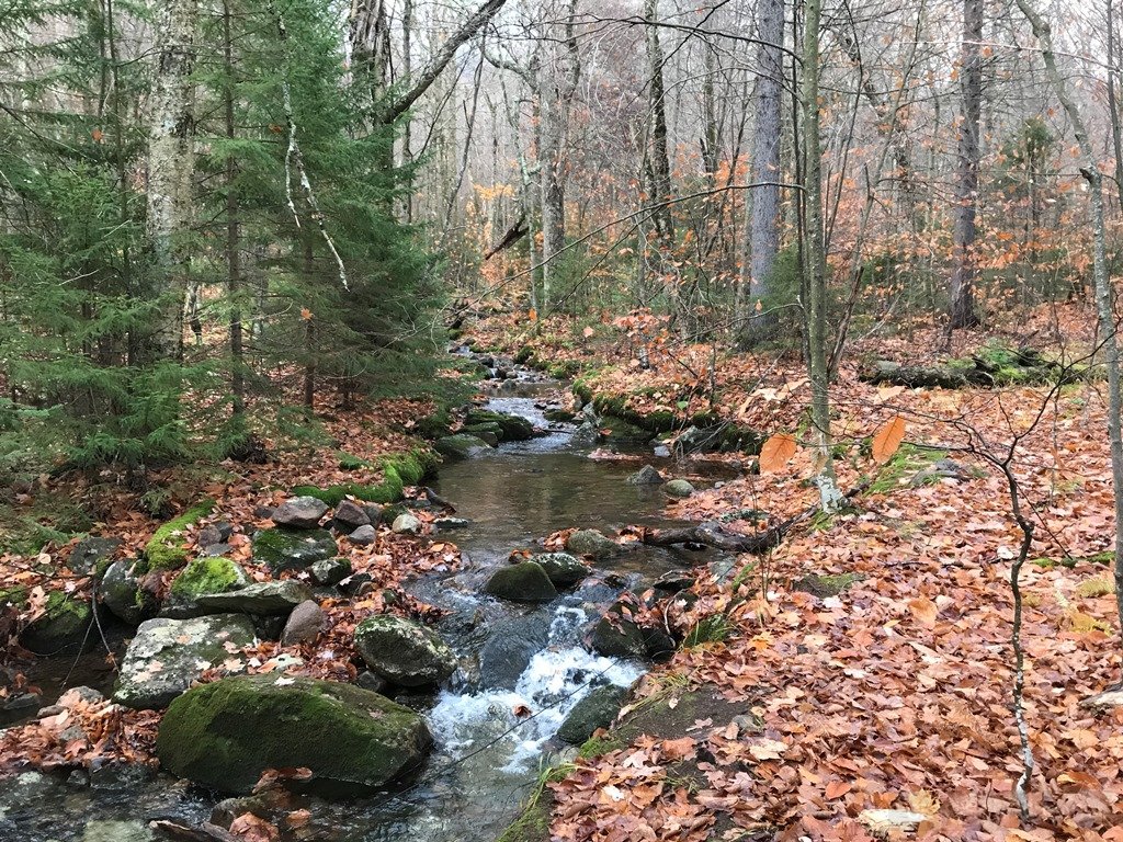 One of several crossings