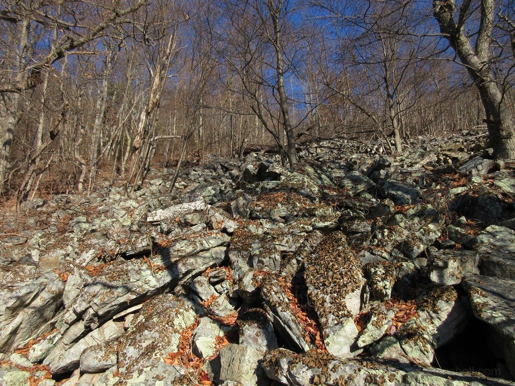 One of the rock gardens, lots of lichen.