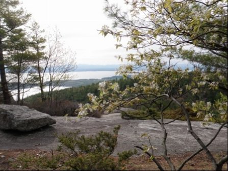 Rattlesnake Mountain