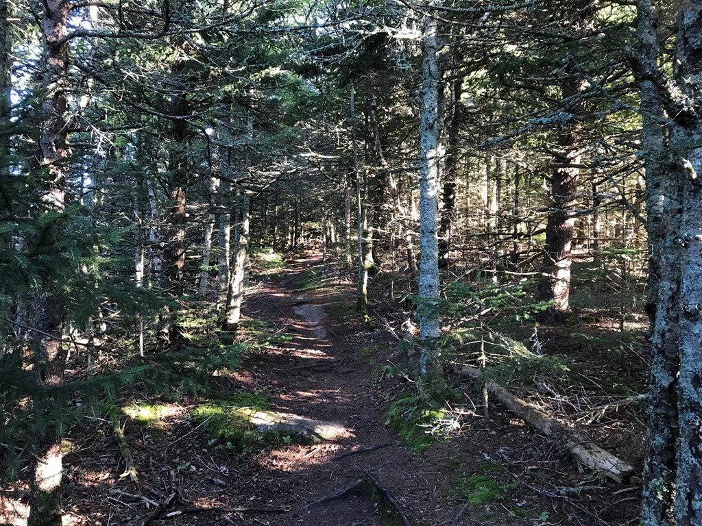 Ridge walk to summit