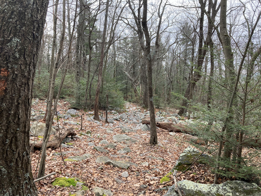 Rock field the trail went through