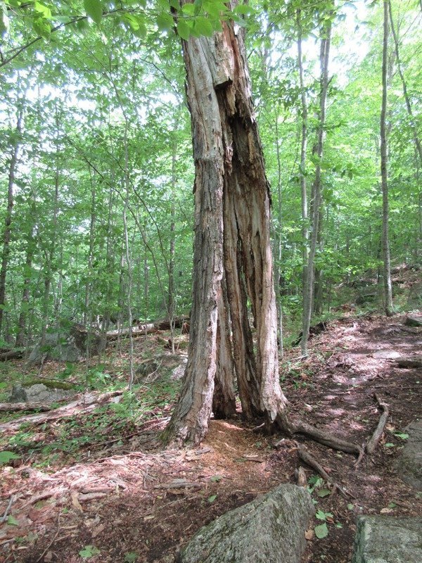 Rotten for the first 20'