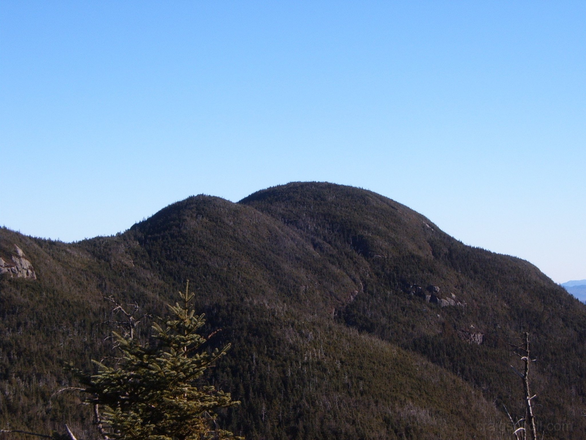 Seward_from_Donaldson_2008