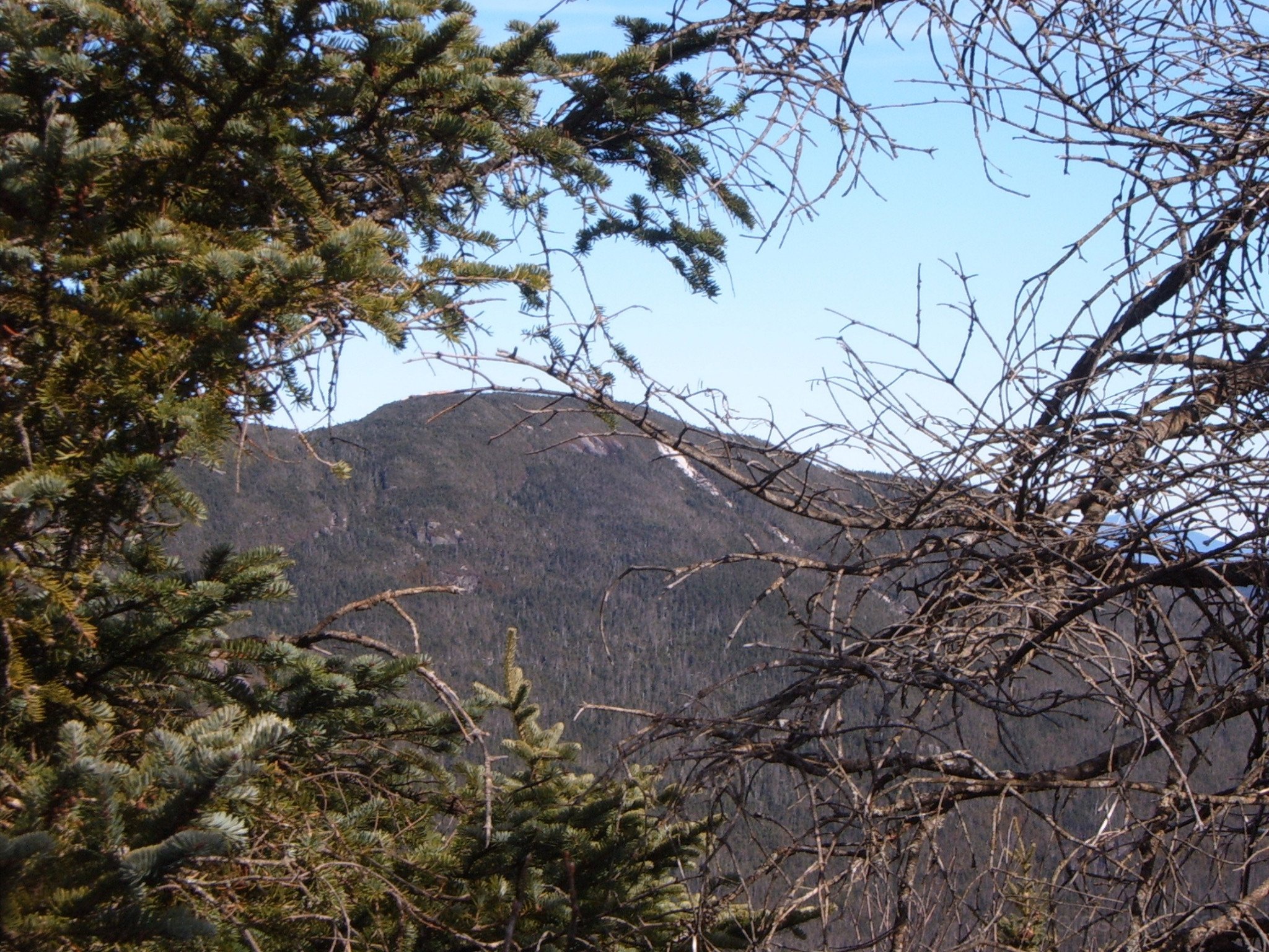 Seward_from_Emmons_2008