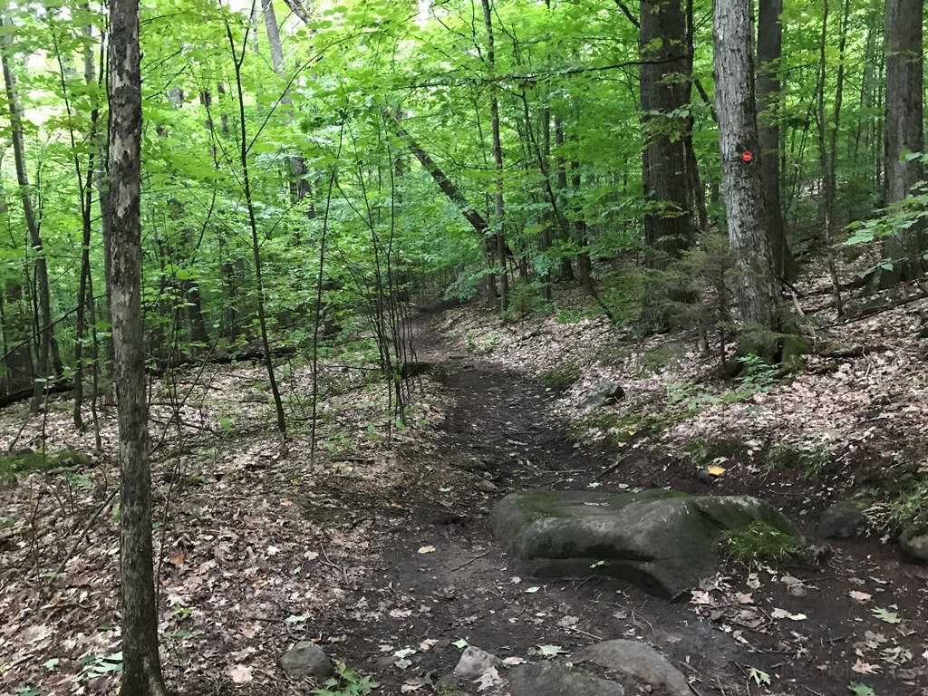 Shared trail with mountain bikes