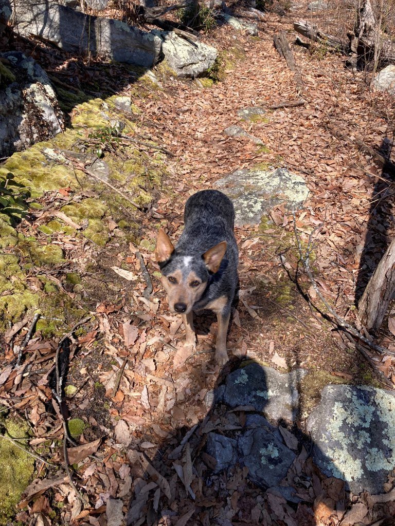 She's enjoying her outing