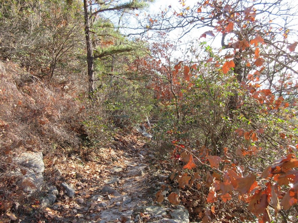 Some of the trail conditions