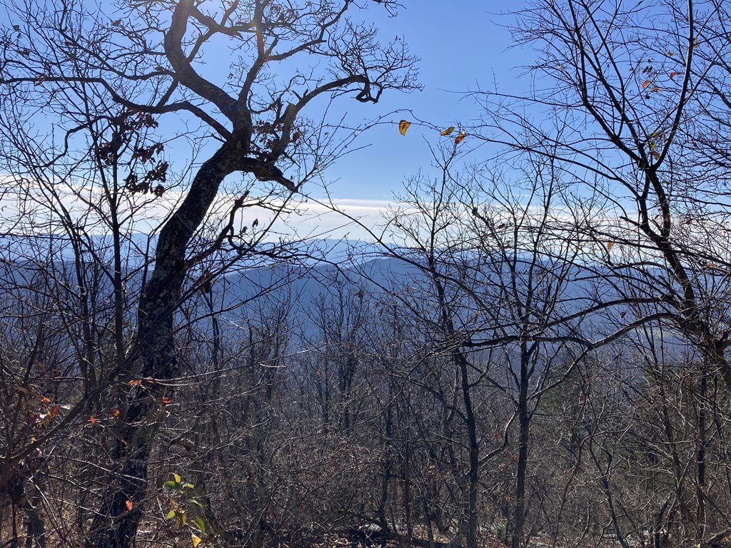 Some views from the ridge