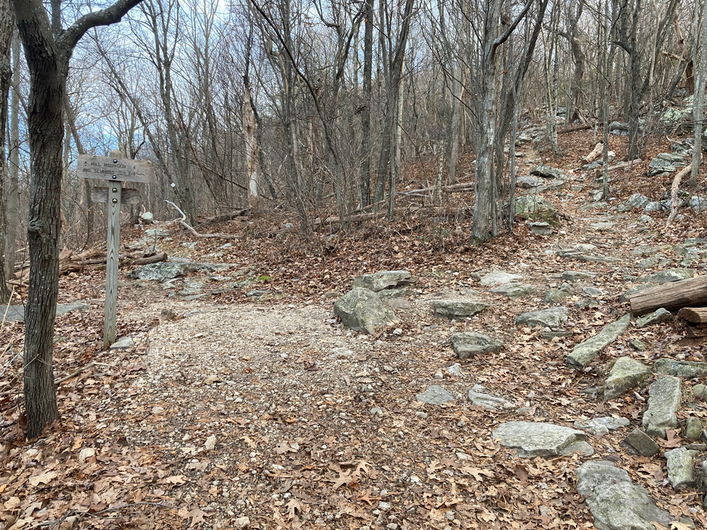 Spur trail going up to Big Schloss Mountain