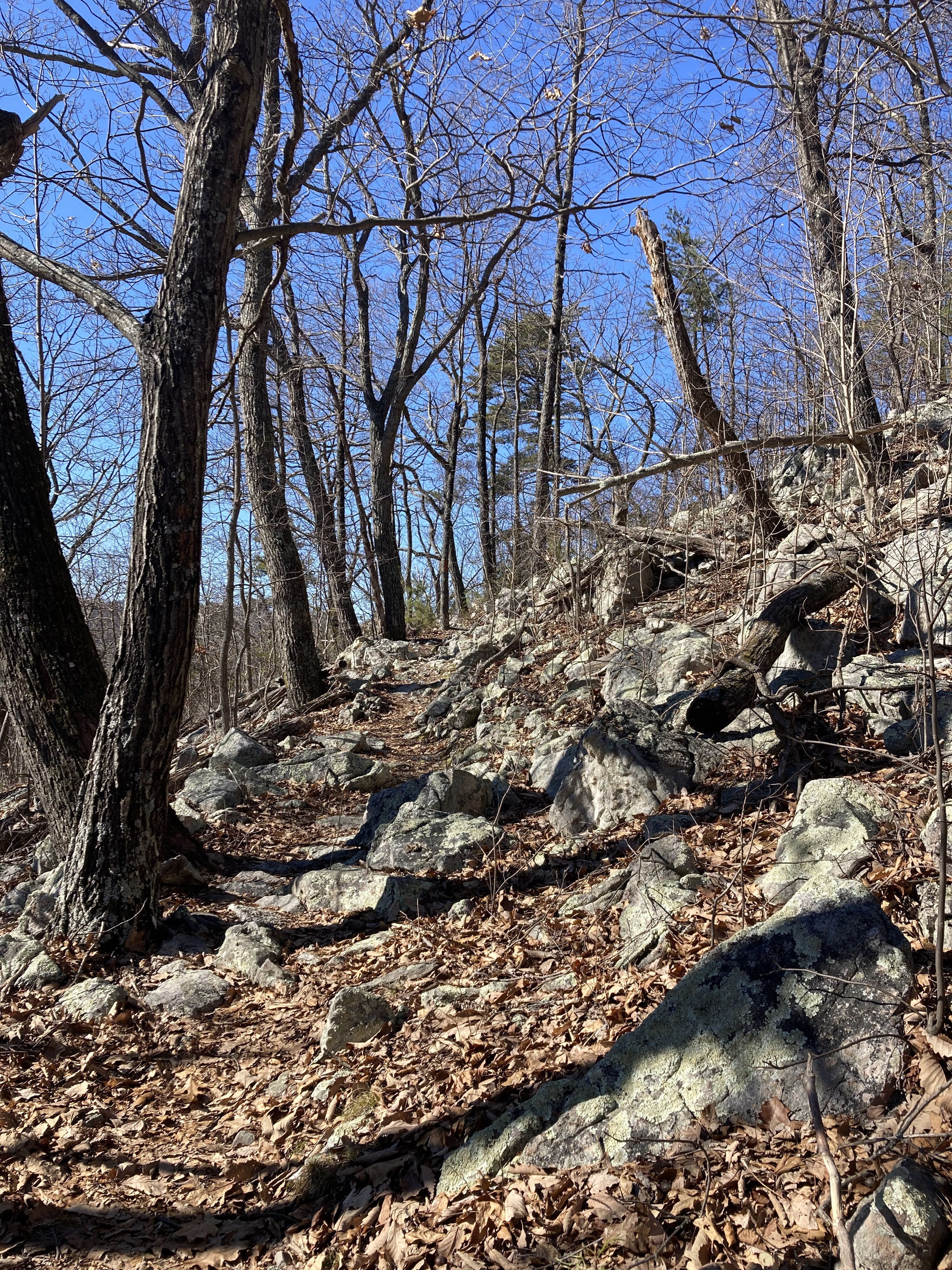 Starting to be the norm