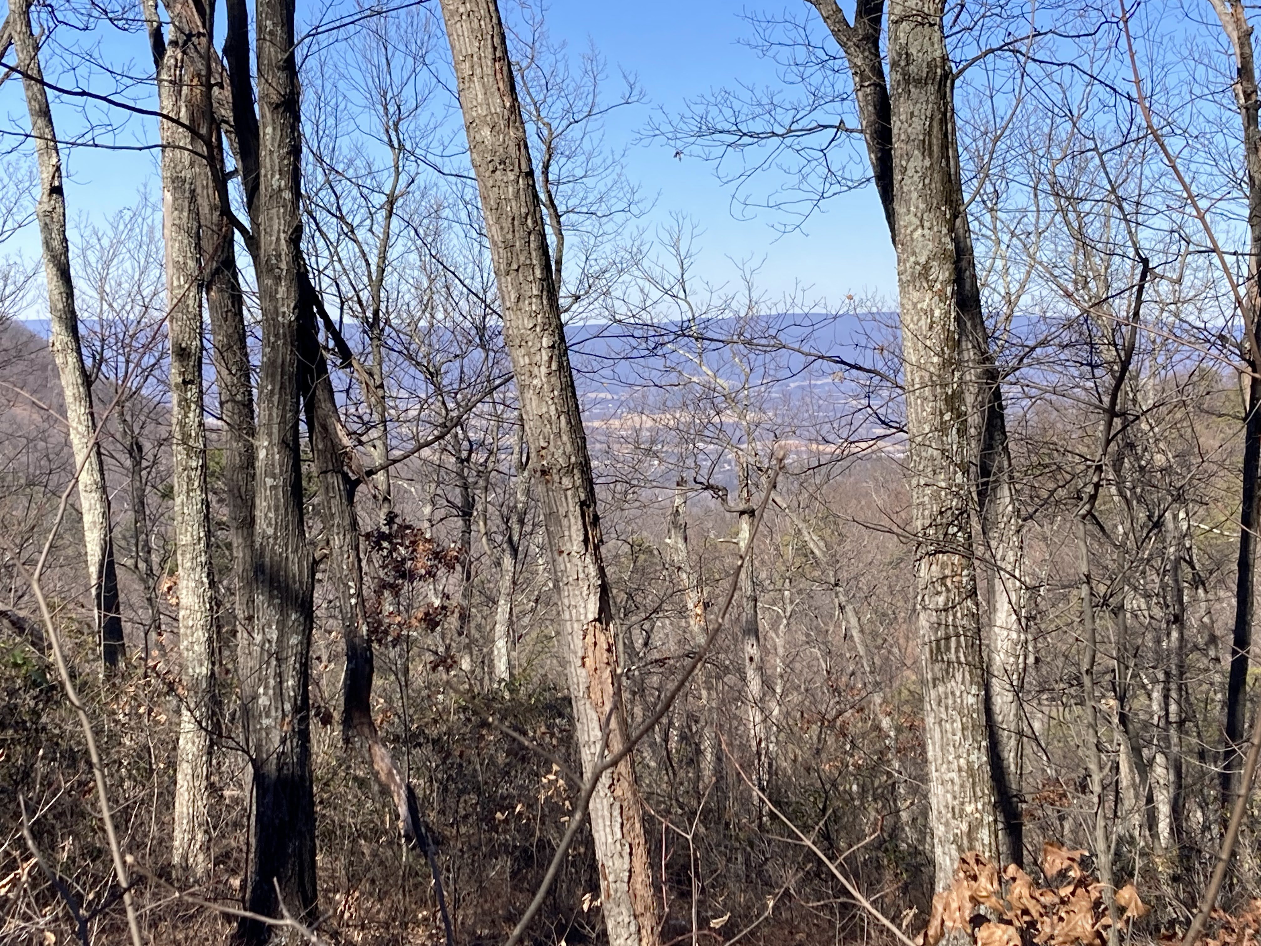 Starting to get views