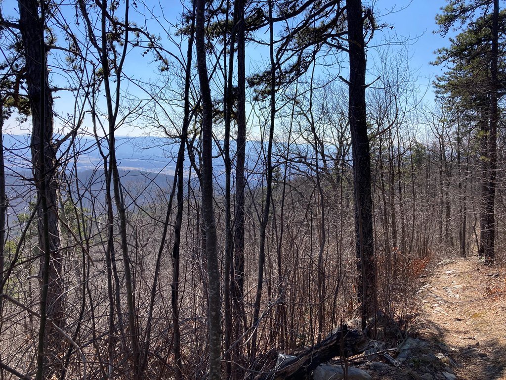 Starting to get views