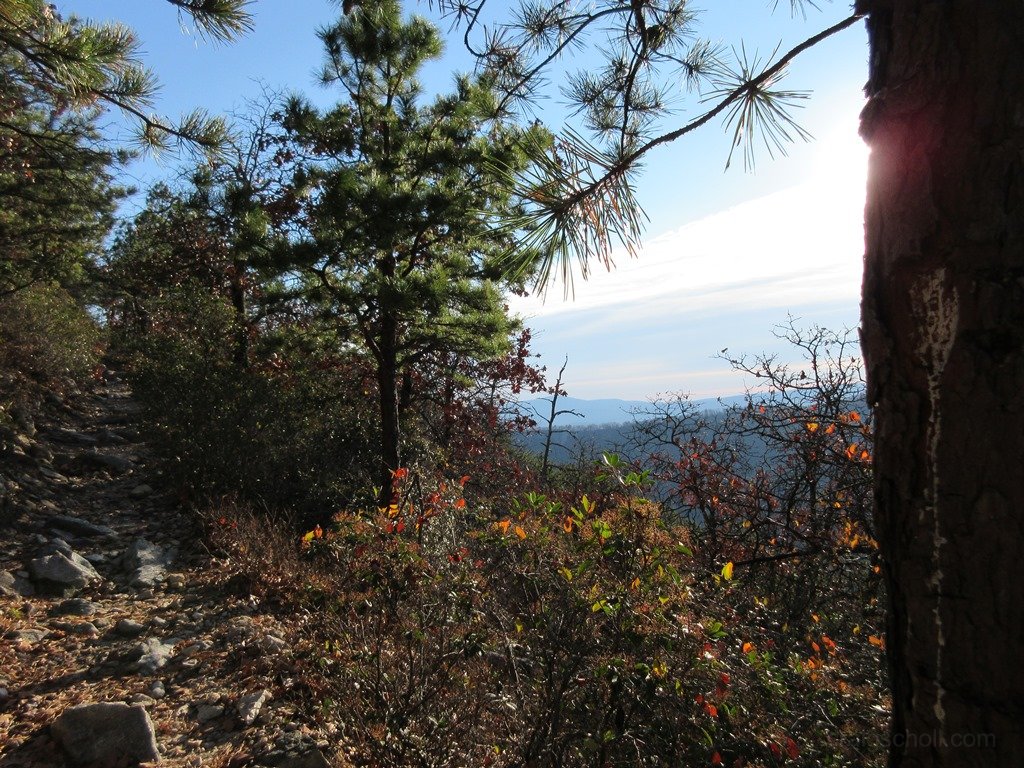 Starting to get views