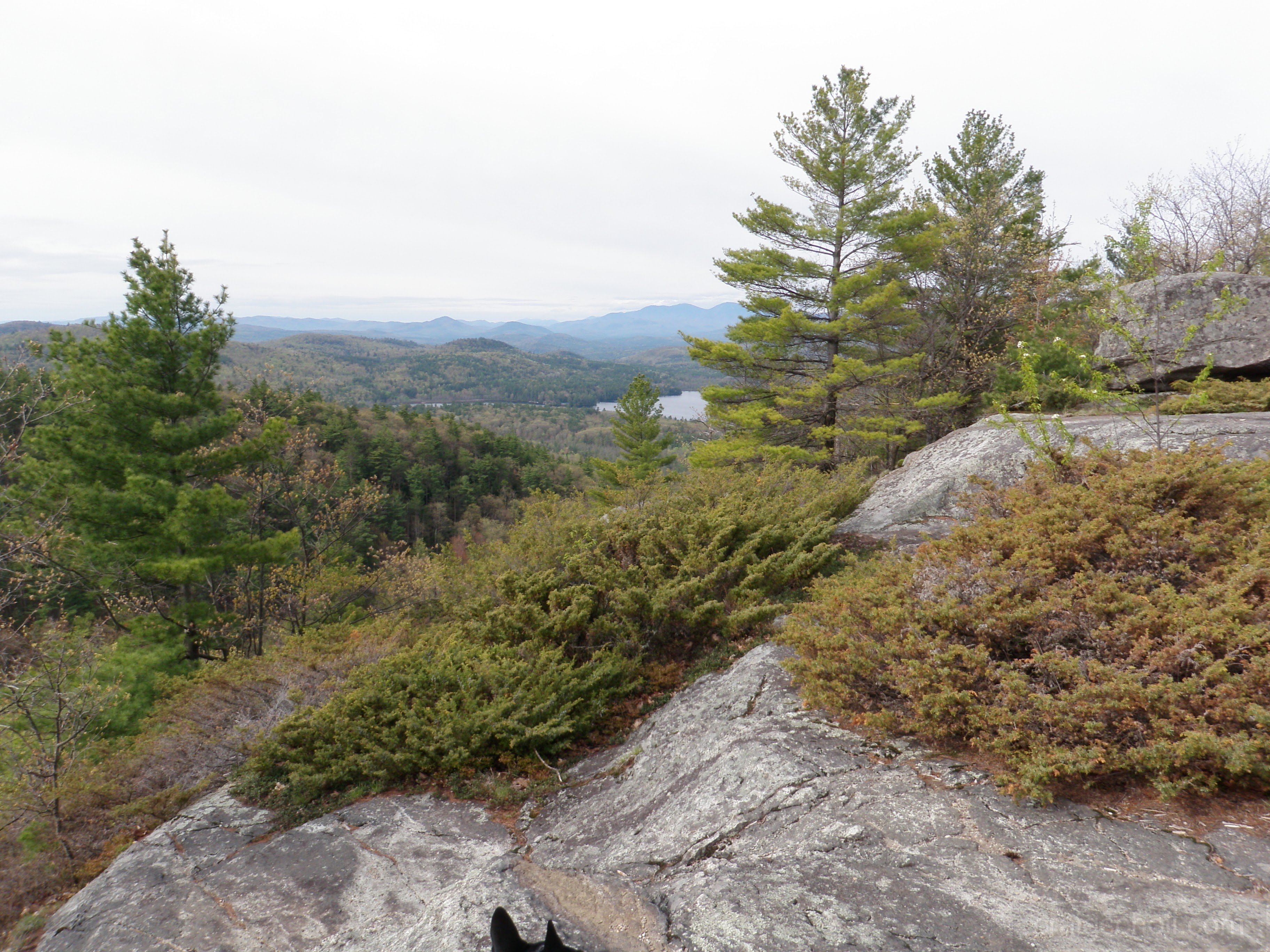 Starting to get views