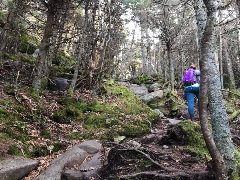 Steep section into the green