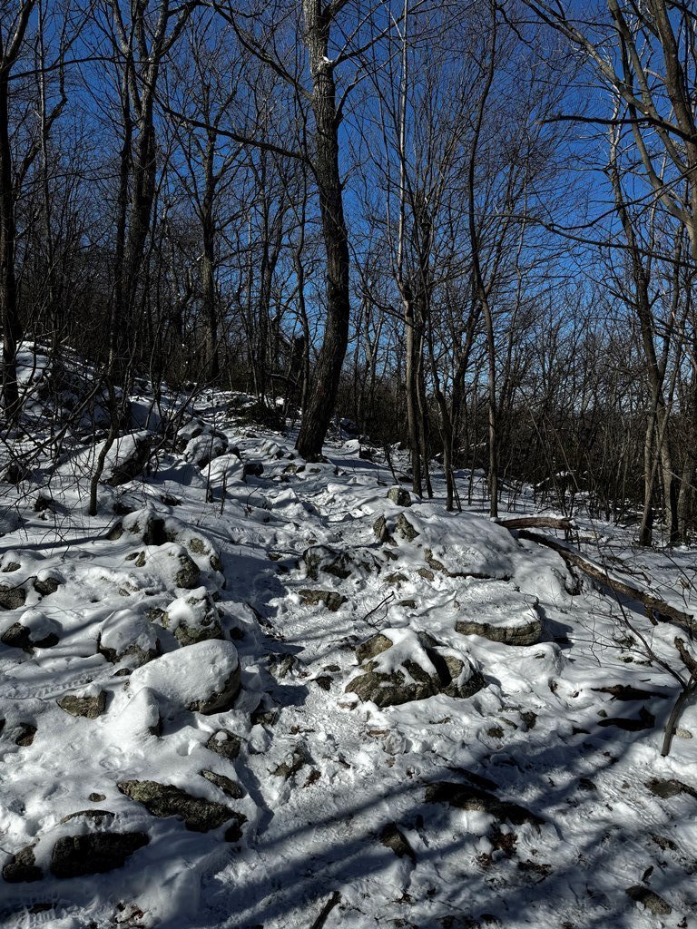 Still some snow up on the trail