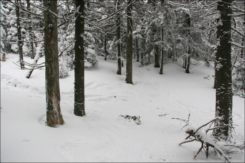 Street___Nye_junction