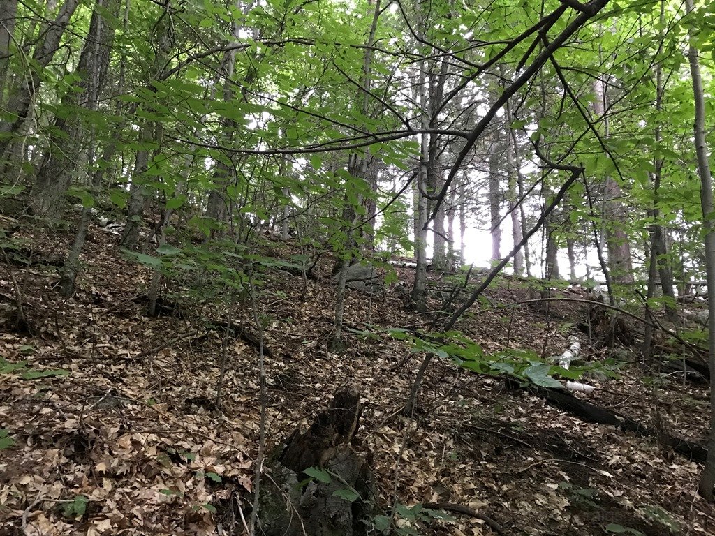 Sun trying to come out.