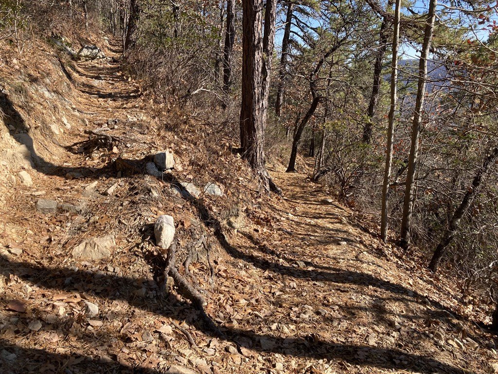 Switchback, one of many.