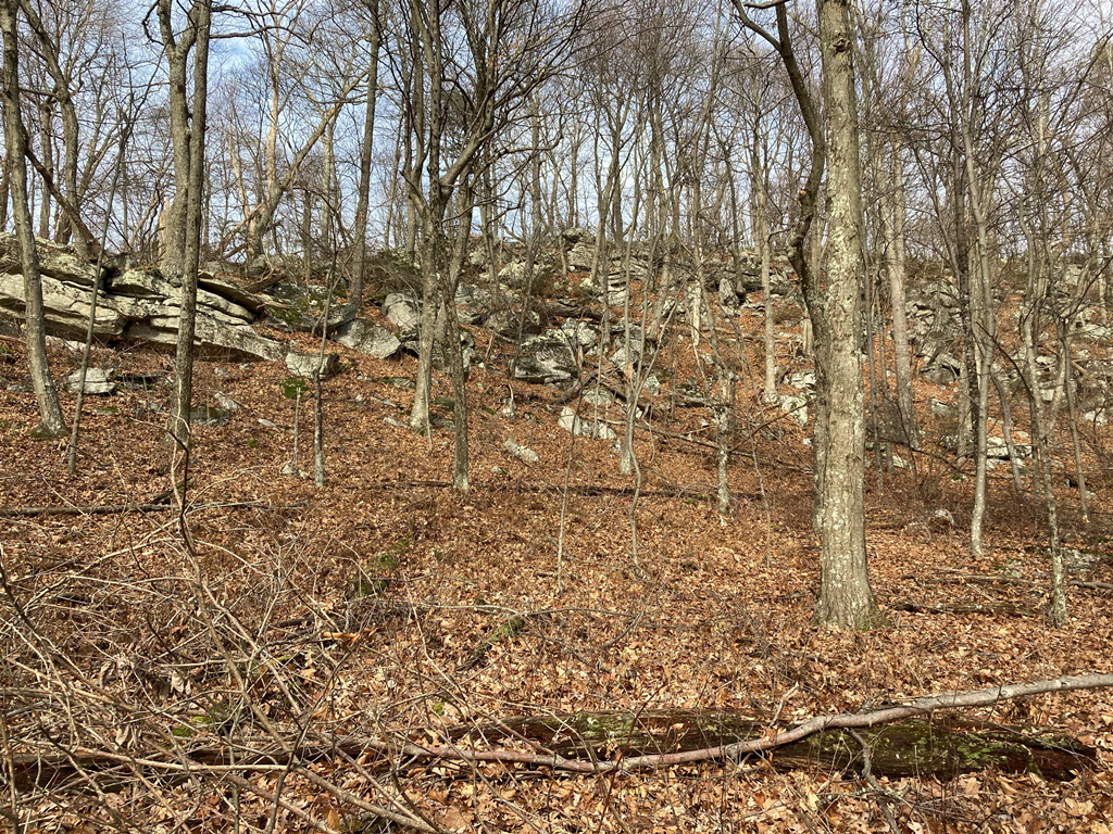 The ridge I shouldered along