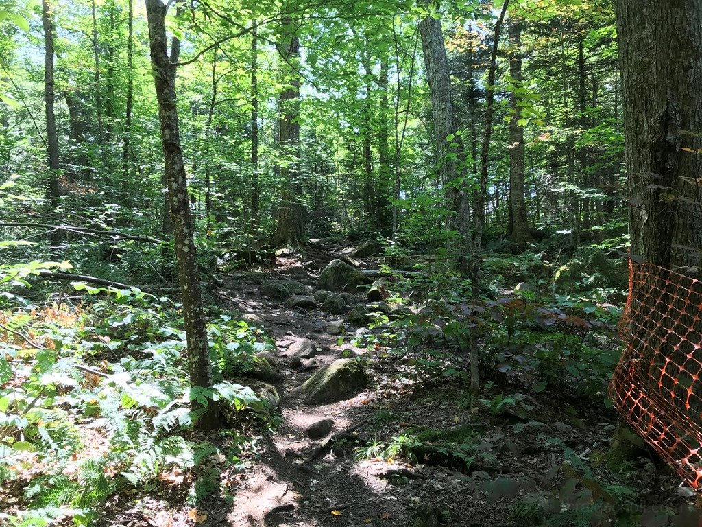 Trail Cobble Hill aptly named.