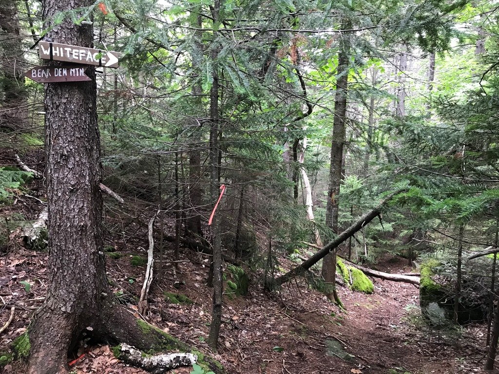 Trail to Whiteface?
